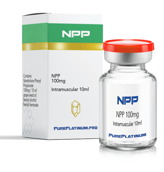 npp israel